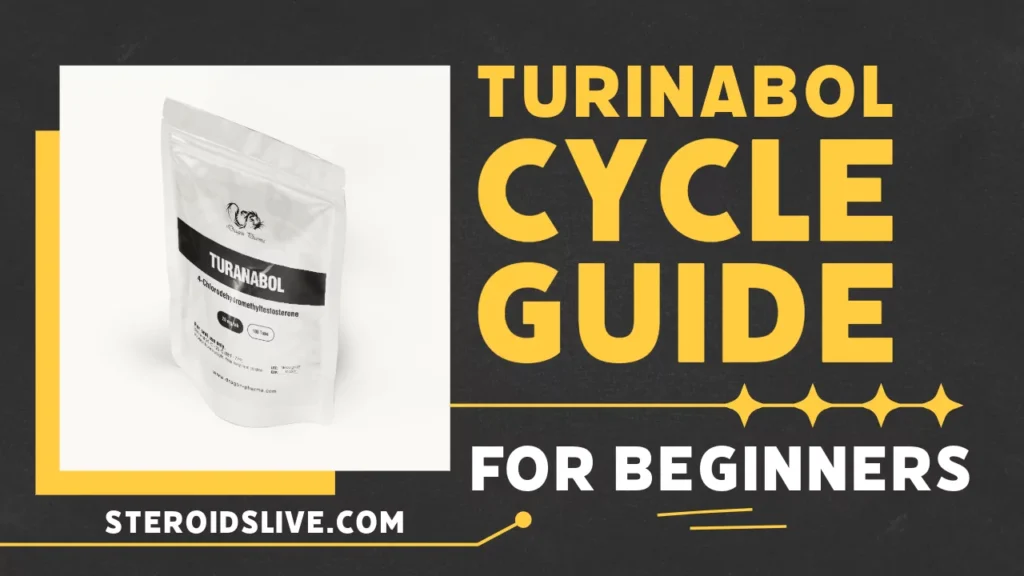 Turinabol Cycle Guide for Beginners turinabol cycle guide