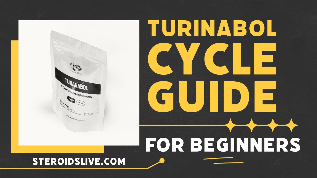turinabol cycle guide