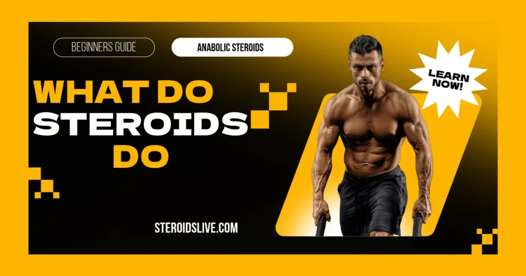 What Do Steroids Do? A Beginner’s Guide to Anabolic Steroids what do steroids do