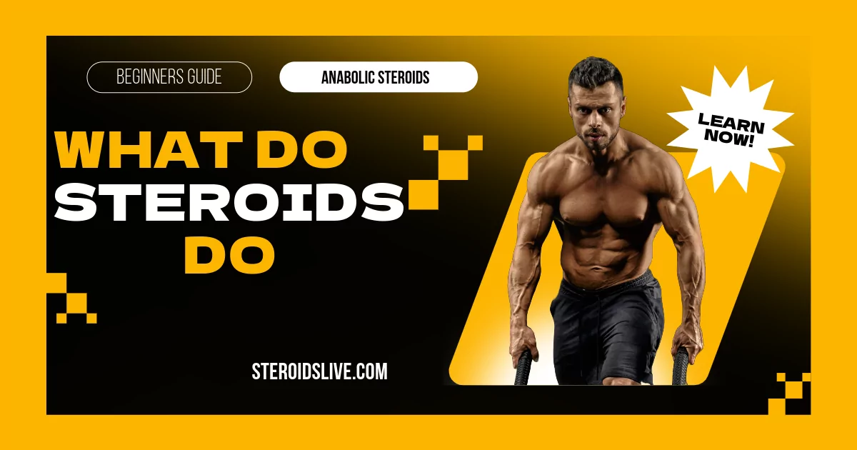 what do steroids do