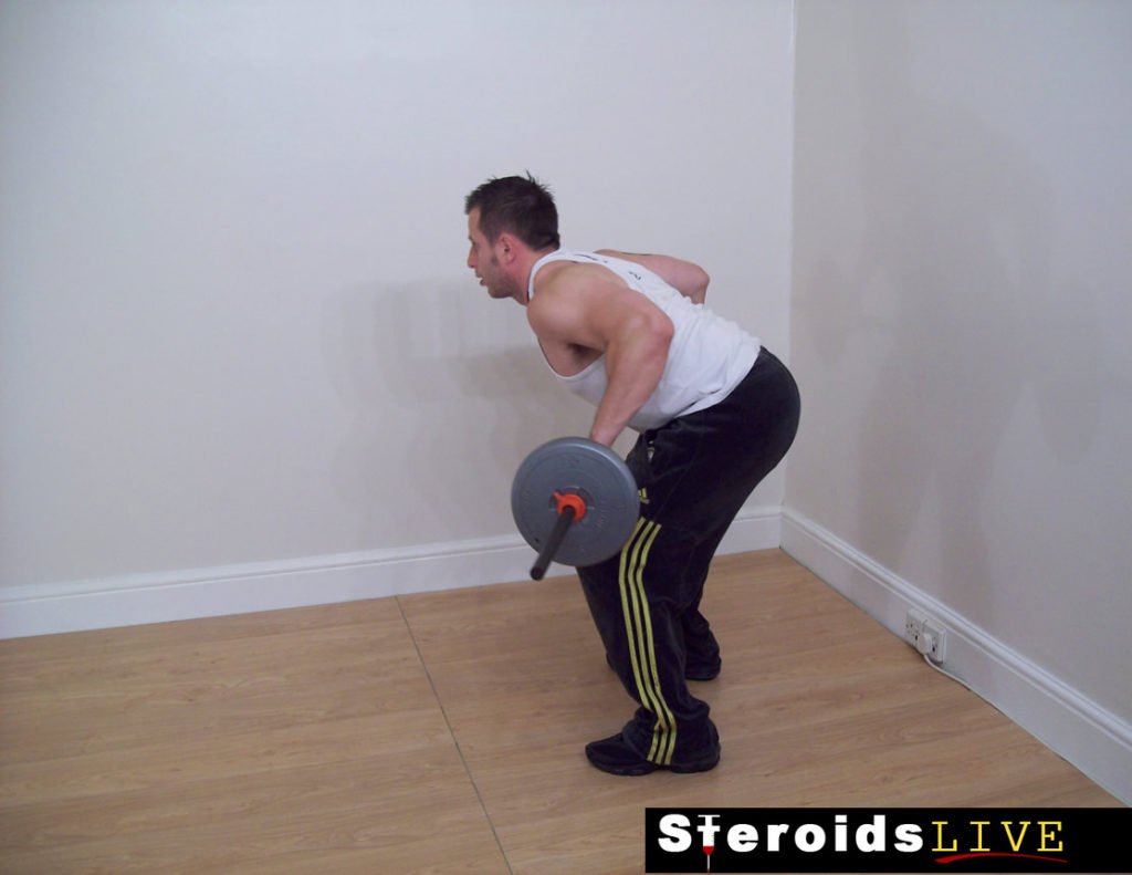 wide grip barbell bent knee row finishing